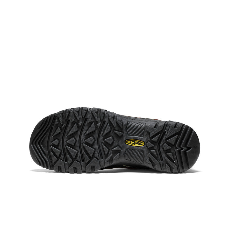 Mens Targhee IV Waterproof Hiking Shoe BisonBlack