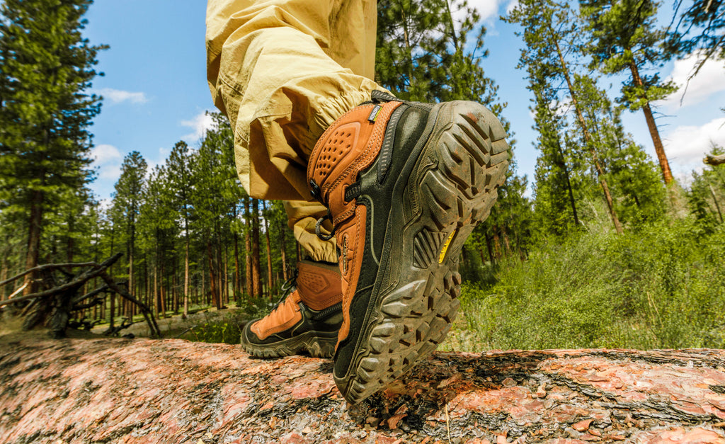 Mens Targhee IV Wide Waterproof Hiking Boot BisonBlack